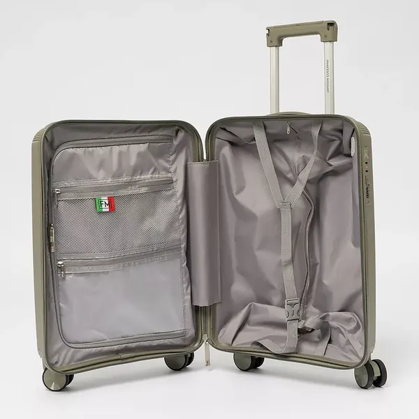 Чемодан на колесах Francesco Molinary 344-8038/2-24GGN