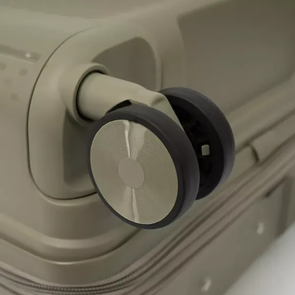 Чемодан на колесах Francesco Molinary 344-8038/2-24GGN