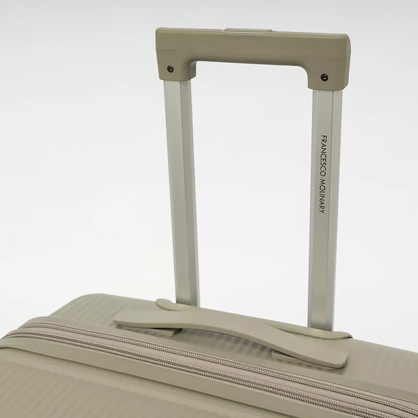 Чемодан на колесах Francesco Molinary 344-8038/3-24GGN