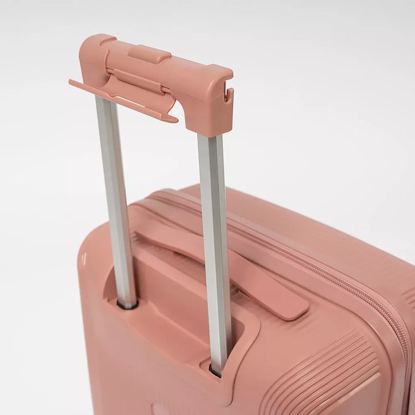 Чемодан на колесах Francesco Molinary 344-8038/2-20PNK