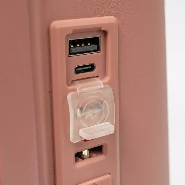 Чемодан на колесах Francesco Molinary 344-8038/2-20PNK