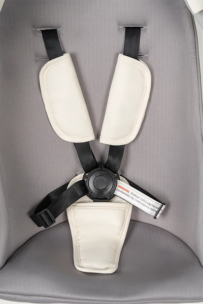 Детская универсальная коляска Aimile Spring / ASR-5