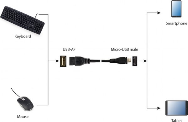 Кабель/переходник Cablexpert A-OTG-AFBM-03