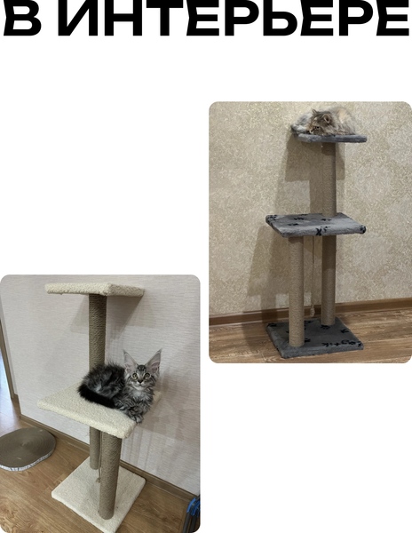 Комплекс для кошек Kogtik Триола / БелКД m