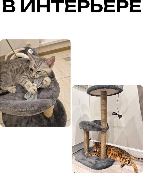 Комплекс для кошек Kogtik Дримми СД m