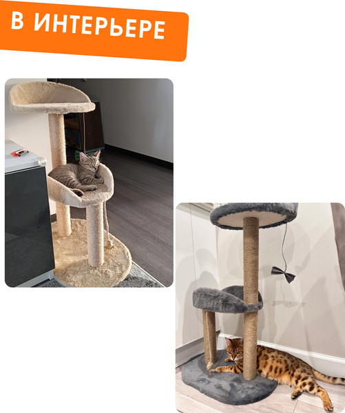 Комплекс для кошек Kogtik Дримми СД m