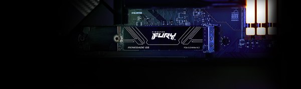 SSD диск Kingston Fury Renegade G5 1TB (SFYR2S/1T0)
