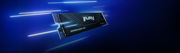 SSD диск Kingston Fury Renegade G5 1TB (SFYR2S/1T0)