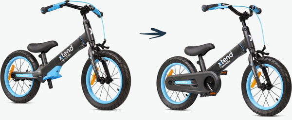 Беговел Smart Trike Xtend Bike 3в1 / 2080302