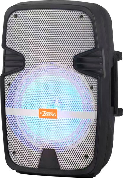 Портативная колонка Bseng MSA-801 - фото