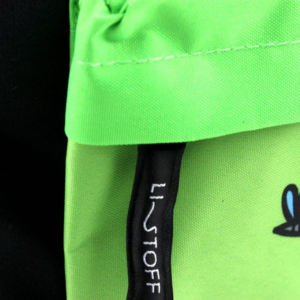 Школьный рюкзак Listoff Какой лягух ты сегодня? / РК0341