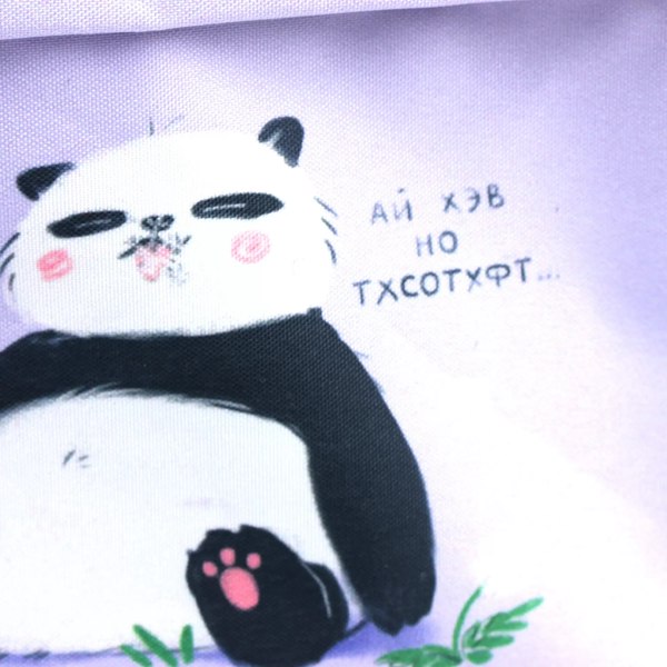 Школьный рюкзак Listoff Панда / РК0339