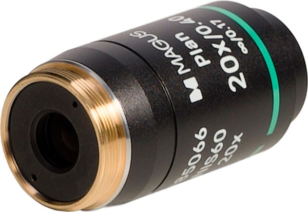 Объектив для микроскопа Magus 20PL60 Plan 20x/0.40/0.17 H60мм / 85066 - фото