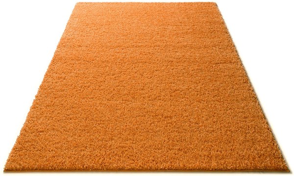 Ковер Moldabela Shaggy Viva Прямоугольник 1039 1 36100