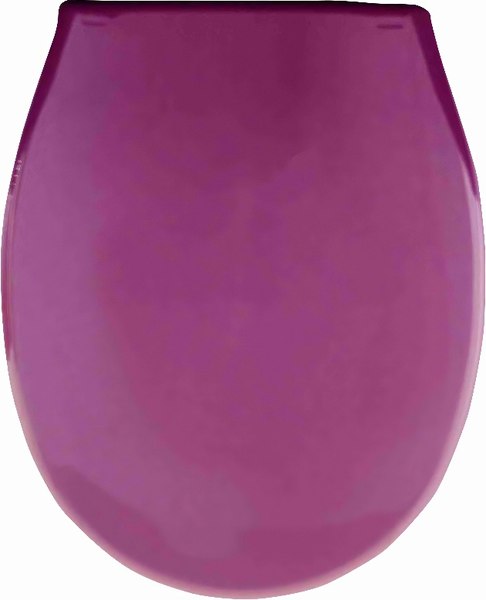 Сиденье для унитаза Еврокомфорт Океан Lux 003767 - фото