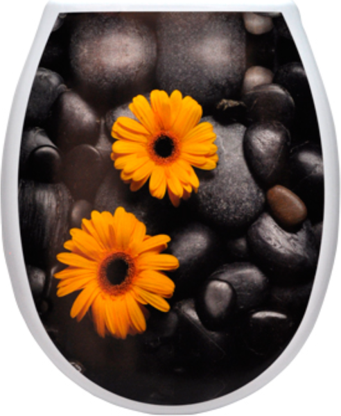 Сиденье для унитаза Еврокомфорт Океан Lux Гербера-мираж 003772 - фото