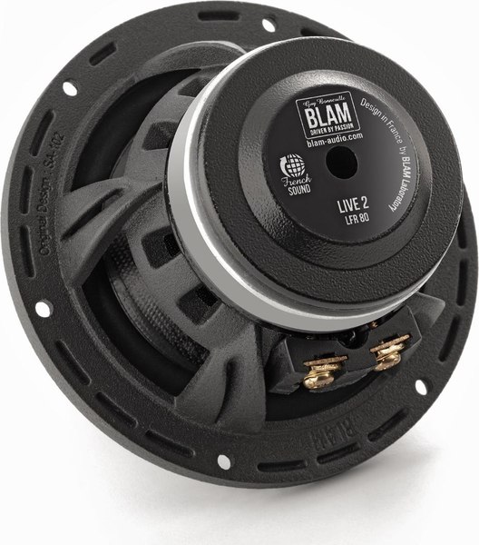 Широкополосная АС BLAM LFR80