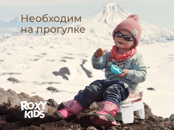 Дорожный горшок ROXY-KIDS HandyPotty / HP-255WG