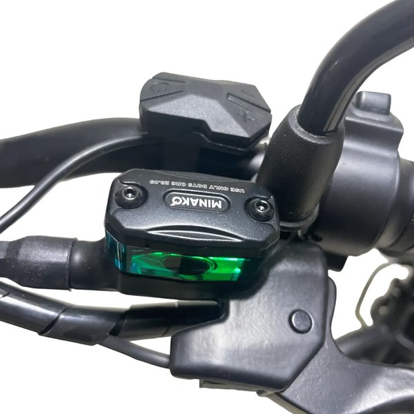 Электровелосипед Minako F10 Dual