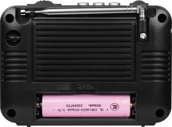 Радиоприемник Ritmix RPR-161