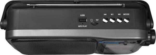 Радиоприемник Ritmix RPR-320