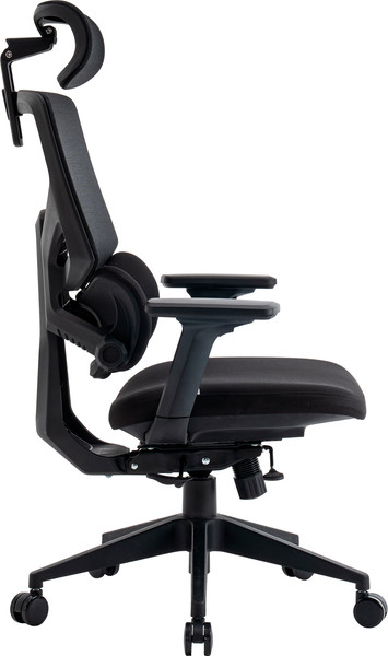 Кресло офисное Evolution LumbarPro