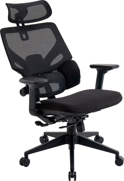 Кресло офисное Evolution LumbarPro