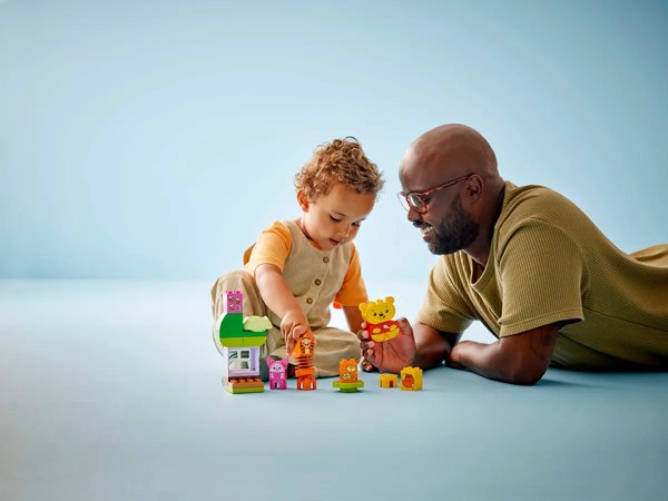 Конструктор Lego Duplo Disney День Рождения / 10457