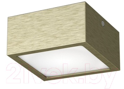 Точечный светильник Lightstar Zolla 213921 - фото