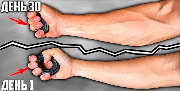 Эспандер Fortius H220701-05-15TP