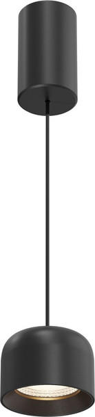 Потолочный светильник Maytoni P113-L12-3K-B