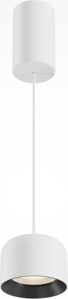 Потолочный светильник Maytoni P113-L12-3K-W - фото