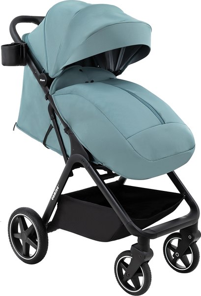 Детская прогулочная коляска Pituso Camino + чехол на ножки / Q-5