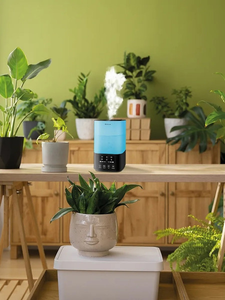 Ультразвуковой увлажнитель воздуха Neoclima Vision 2.5L Black