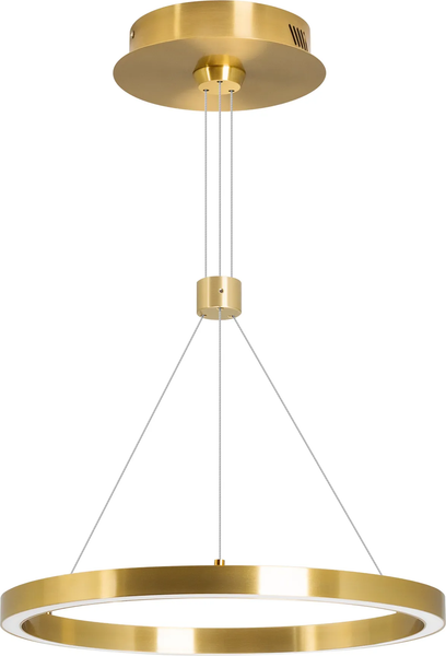 Потолочный светильник Arlight SP-CONGO-CAN-1-R400-24W Day4000 GD 120deg / 046210 - фото