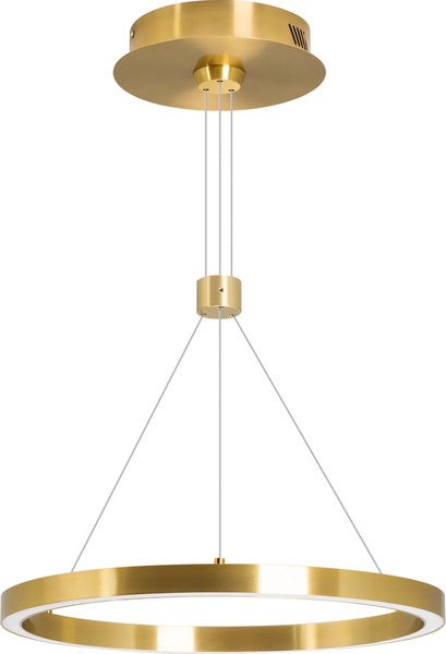Потолочный светильник Arlight SP-CONGO-CAN-1-R400-24W Warm3000 GD 120deg / 046209 - фото