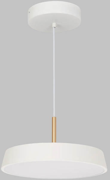 Потолочный светильник Arlight SP-ELEGANT-R300-17W Day4000 WH 120deg / 033919(1) - фото