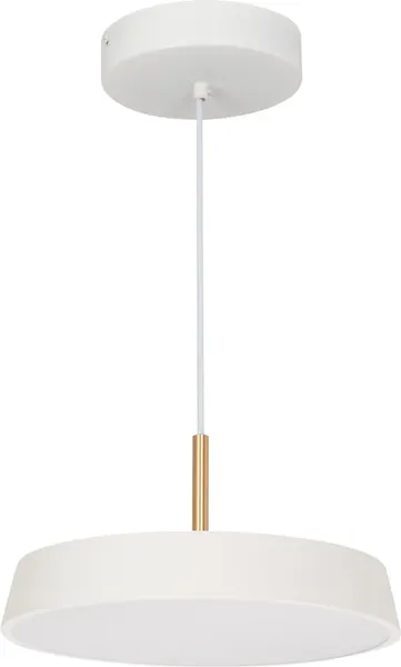 Потолочный светильник Arlight SP-ELEGANT-R300-17W Warm3000 WH 120deg / 033914(1) - фото