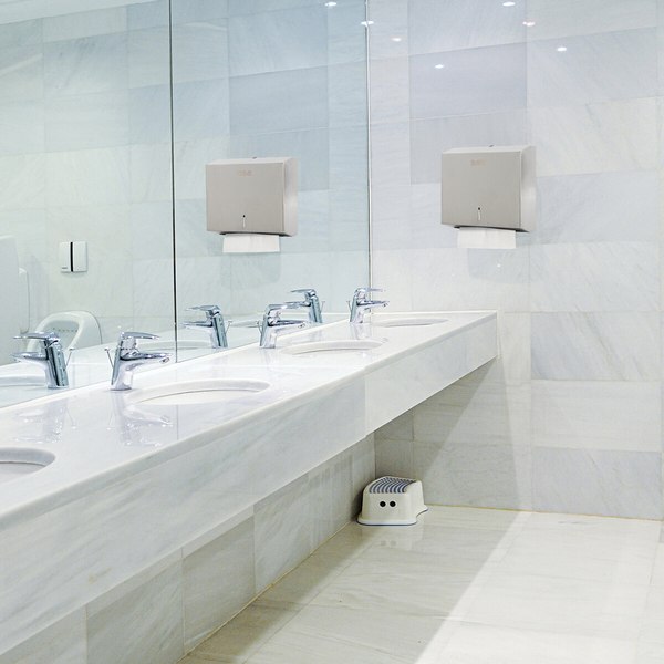 Диспенсер Laima Professional Basic 605050