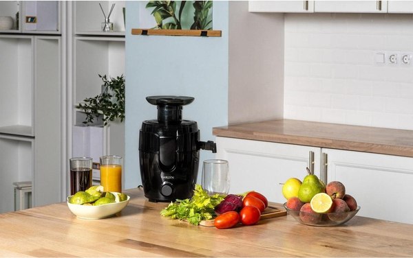 Соковыжималка электрическая Garlyn J-150