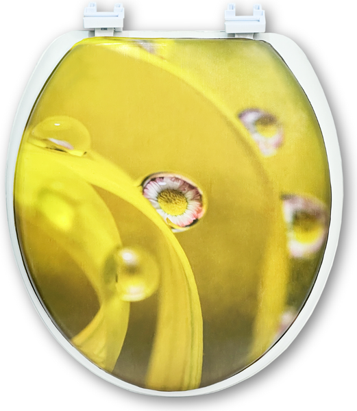 Сиденье для унитаза Еврокомфорт Океан В-31 103-311-01В31 - фото