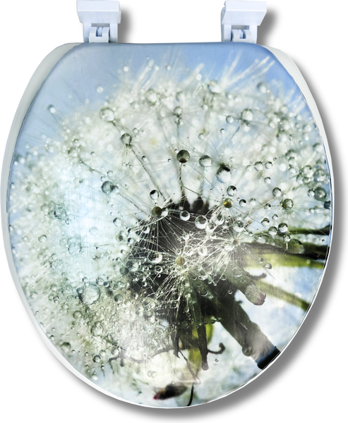 Сиденье для унитаза Еврокомфорт Океан В-34 103-311-01В34 - фото