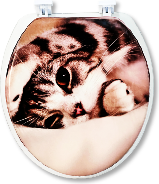 Сиденье для унитаза Еврокомфорт Океан В-35 103-311-01В35 - фото