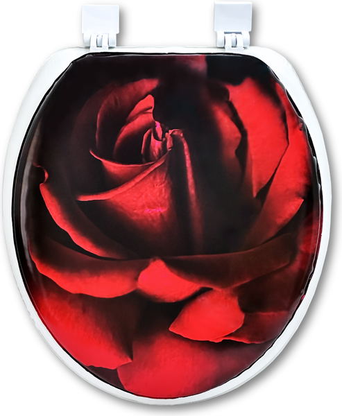 Сиденье для унитаза Еврокомфорт Океан В-33 006423 - фото