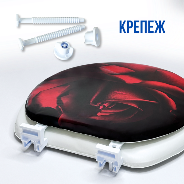 Сиденье для унитаза Еврокомфорт Океан В-33 006423