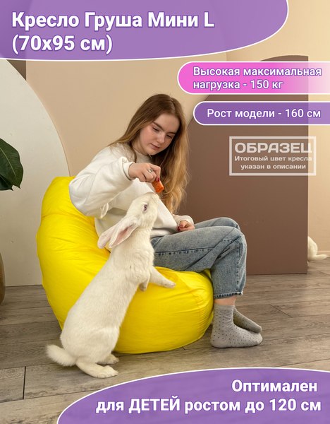 Бескаркасное кресло Flagman Груша Мини L Г0.1-08