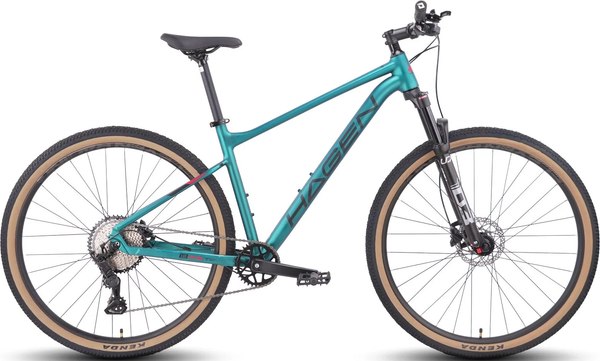 Велосипед Hagen Bikes 1.10 2025 / H25M110DE29L  - фото