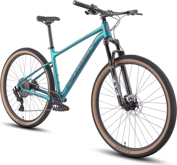 Велосипед Hagen Bikes 1.10 2025 / H25M110DE29XL