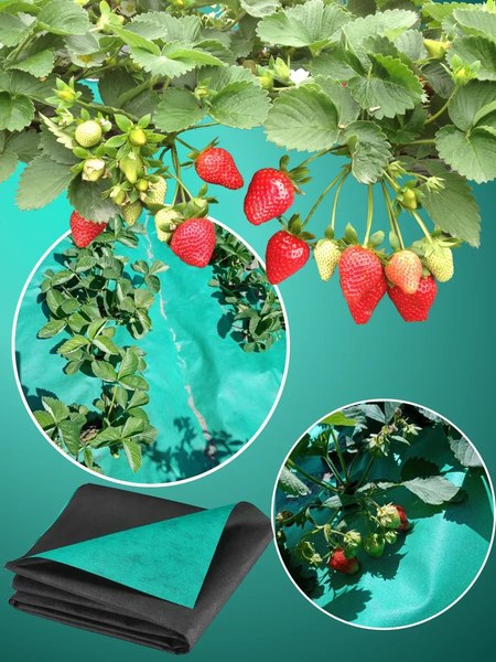 Укрывной материал Somiva Спанбонд СУФ-ЭКОБел 80пл 1.6x10м / 100000009