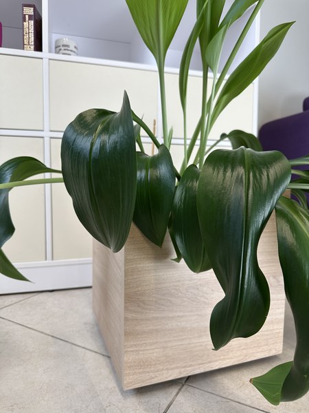 Журнальный столик ML Smart Group Ислочь 35x35x35см / Is_H3170ST12